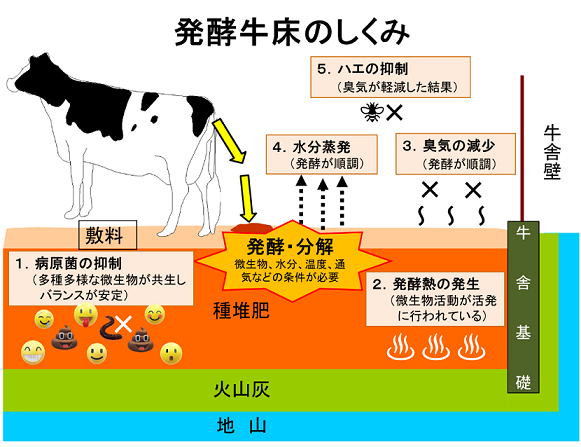 発酵牛床（コンポストバーン、バイオベッド）その７